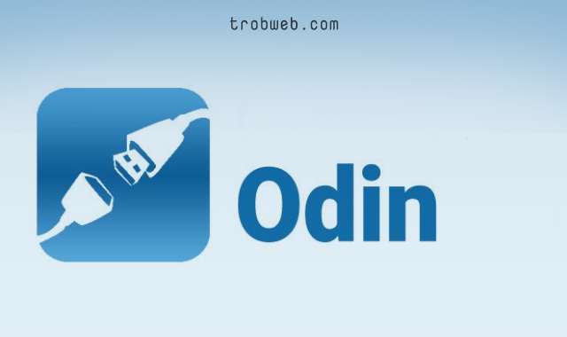 Programme Odin