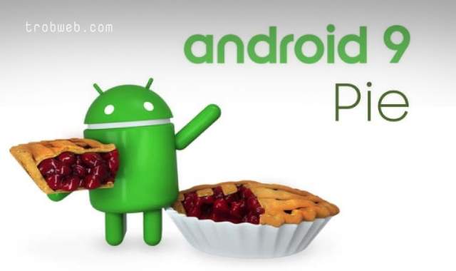 Caractéristiques d'Android Pie 9