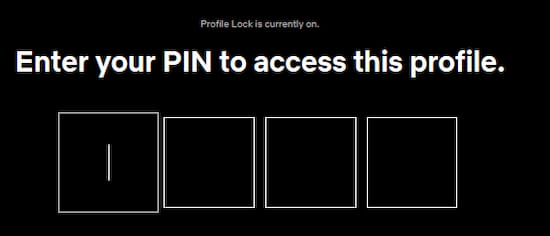 Code Pin Netflix
