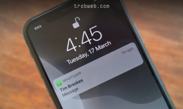 Comment empêcher les notifications de messages Whatsapp d'apparaître sur iPhone