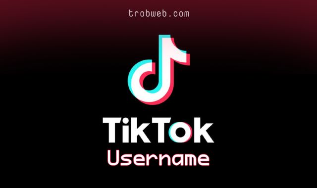 Comment changer le nom de votre profil TikTok
