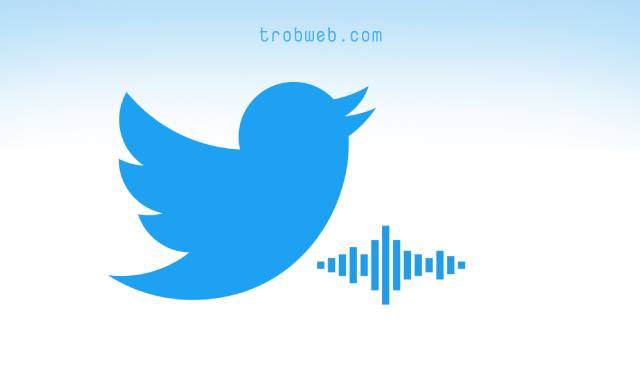 Comment publier un tweet vocal sur l'application Twitter
