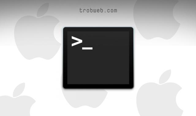 كيفية فتح Terminal على Mac