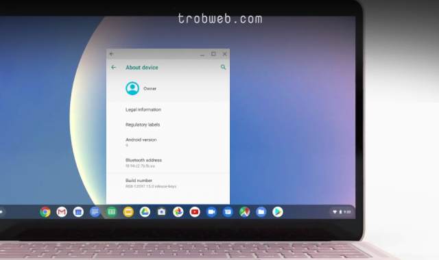Découvrez la version Android sur votre Chromebook