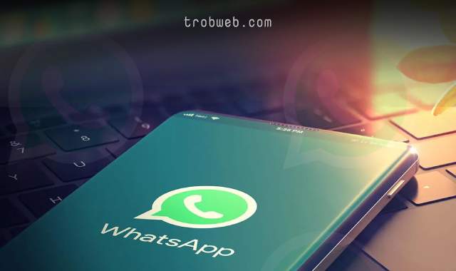 Comment agrandir la police sur Whatsapp
