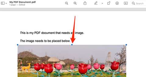 Incorporer une image dans un PDF sur Mac