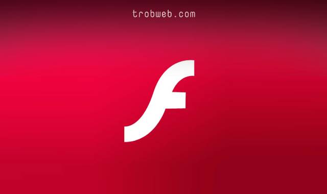 Activer Flash Player sur Mac