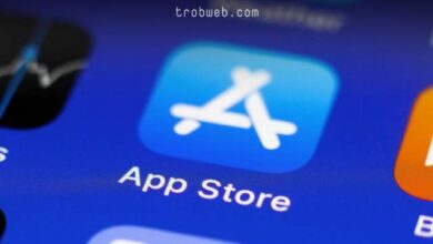 Résoudre le problème de ne pas télécharger d'applications depuis l'App Store