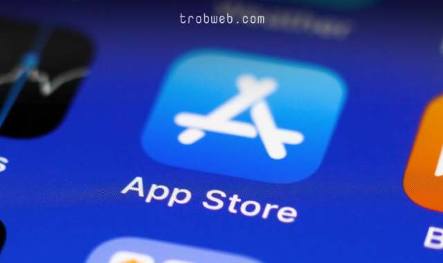 Résoudre le problème de ne pas télécharger d'applications depuis l'App Store
